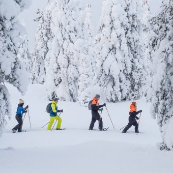 Sneeuwschoenwandelen