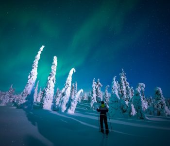 Harrinva Noorderlicht Finland vakantie