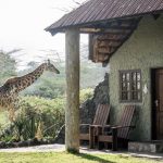 Arusha National Park, Tanzania, Avontuurlijke rondreis Tanzania