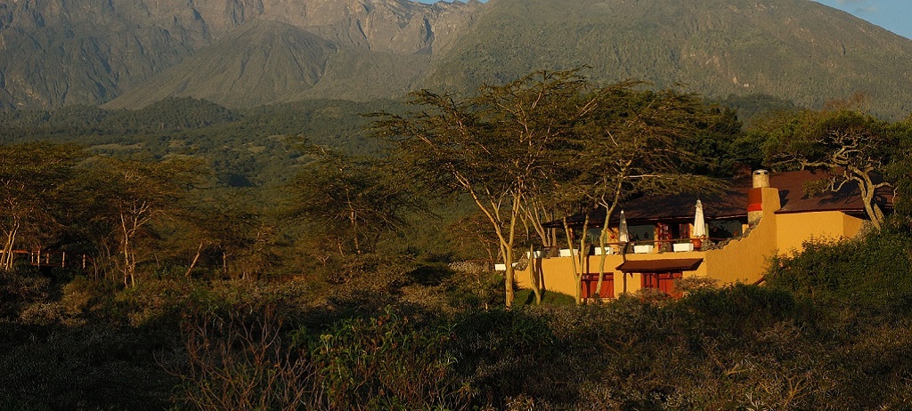 Hatari Lodge aan Mount Meru