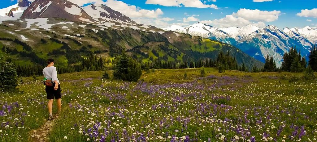 Hilton Whistler Resort & Spa