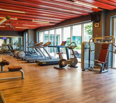 Holiday Inn New Delhi Fitnessruimte