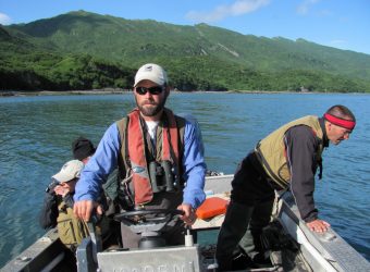 grizzly beren van kodiak tot katmai