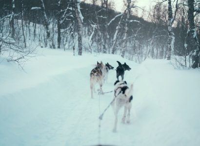 Tromso Ice Domes excursies