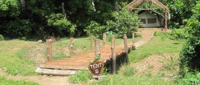 Hondo Hondo Udzungwa Forest Tented Camp