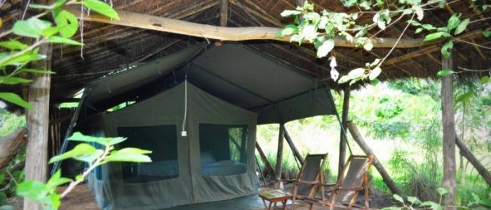 Hondo Hondo Udzungwa Forest Tented Camp