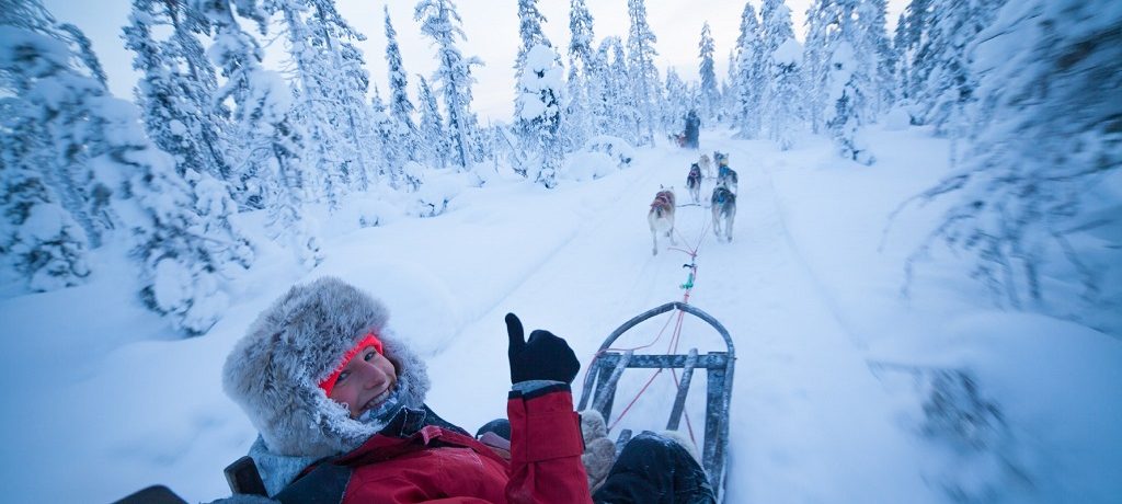 Lapland winter husky, wintervakantie Lapland