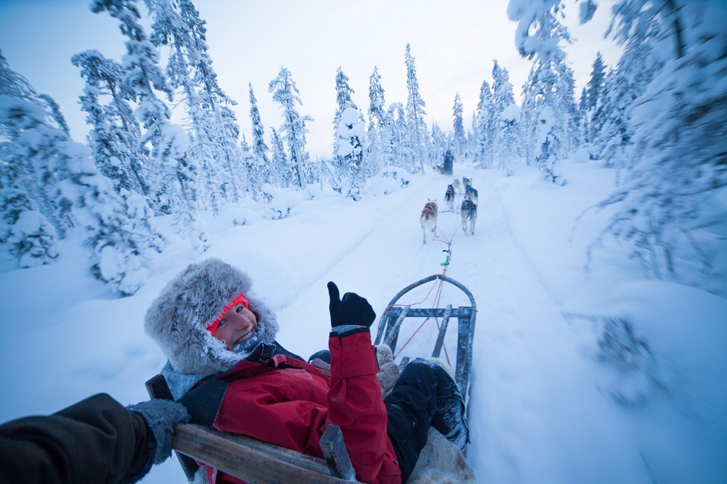 Lapland winter husky, wintervakantie Lapland