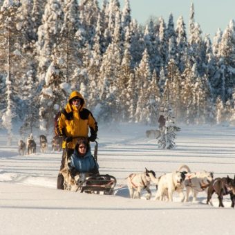 Husky