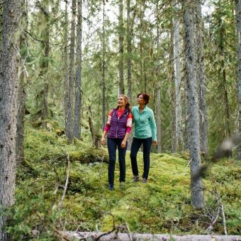 Finse Taiga wouden