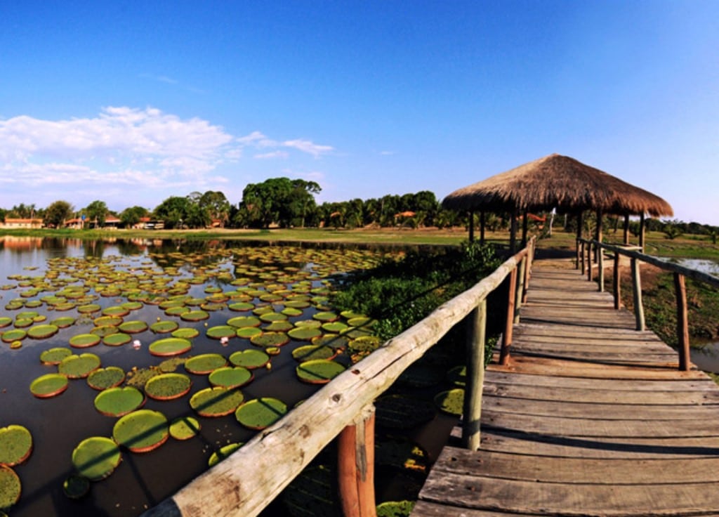 Hotel Pantanal Norte, Jaguar reis