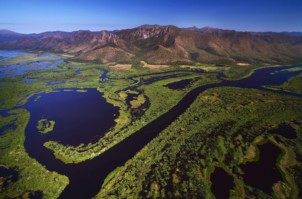 Pantanal