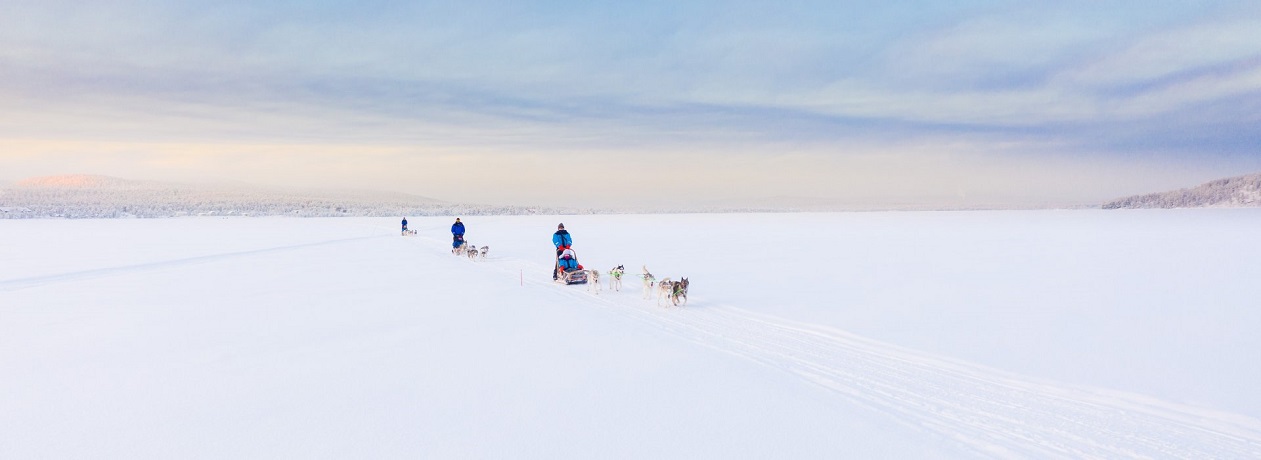 Avontuurlijke winterreis Fins Lapland