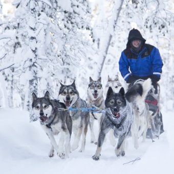 Avontuurlijke winterweek Fins Lapland