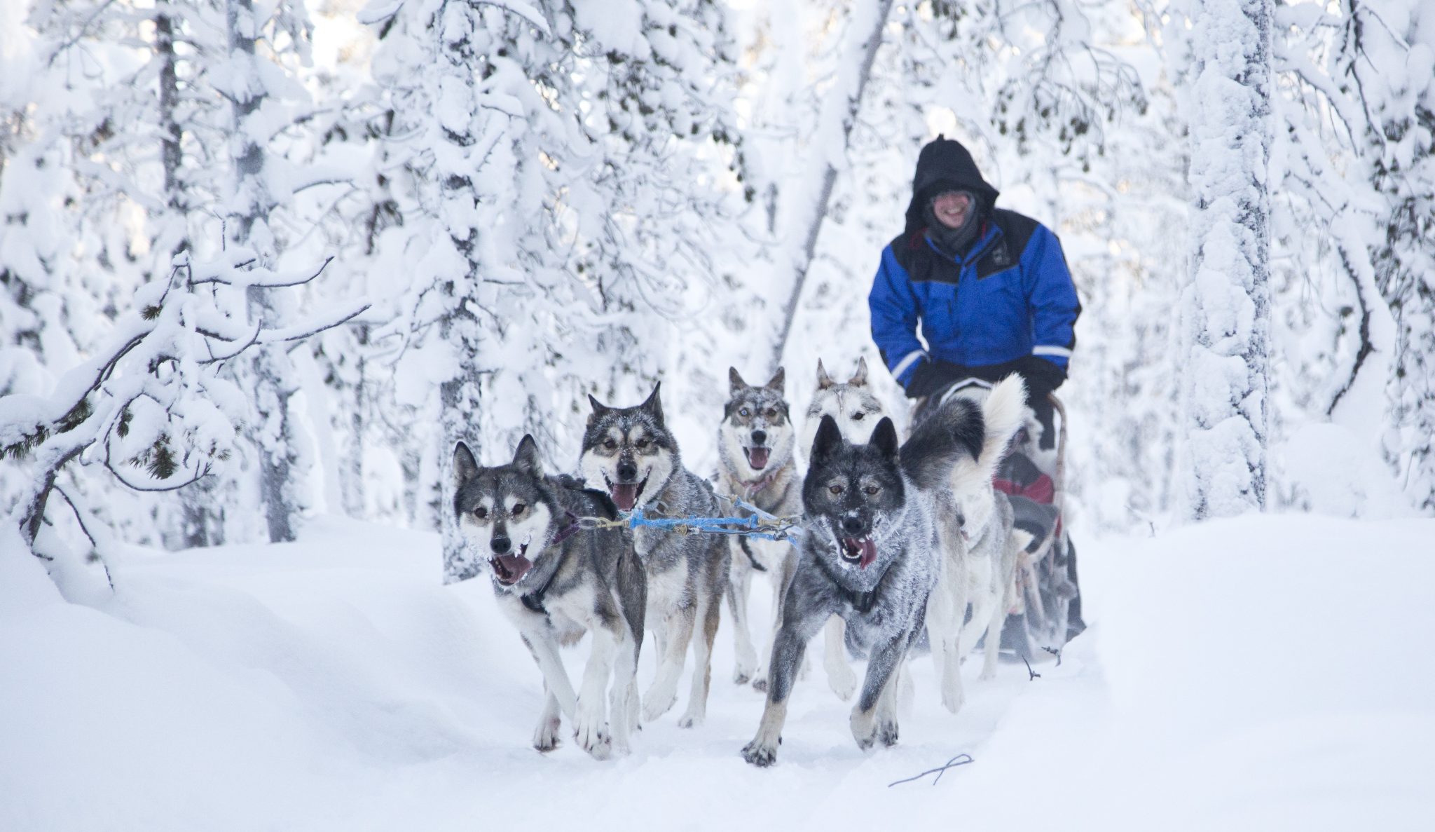 Avontuurlijke winterweek Fins Lapland