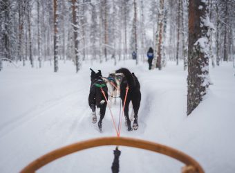 Actieve winterreis Fins Lapland