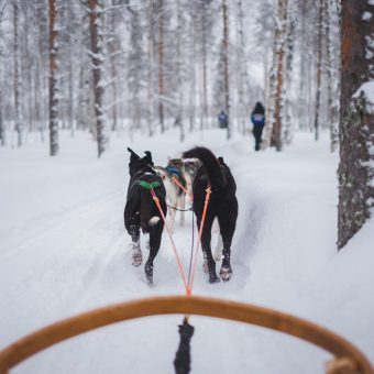 Actieve winterreis Fins Lapland