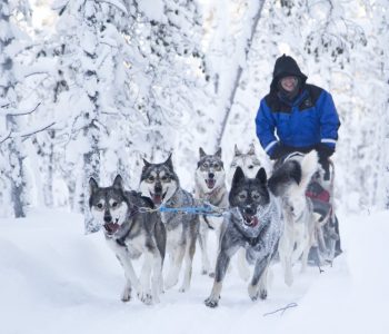 Husky safari, Finland, Lapland - Nellim Husky safari, Finland, Lapland - Nellim