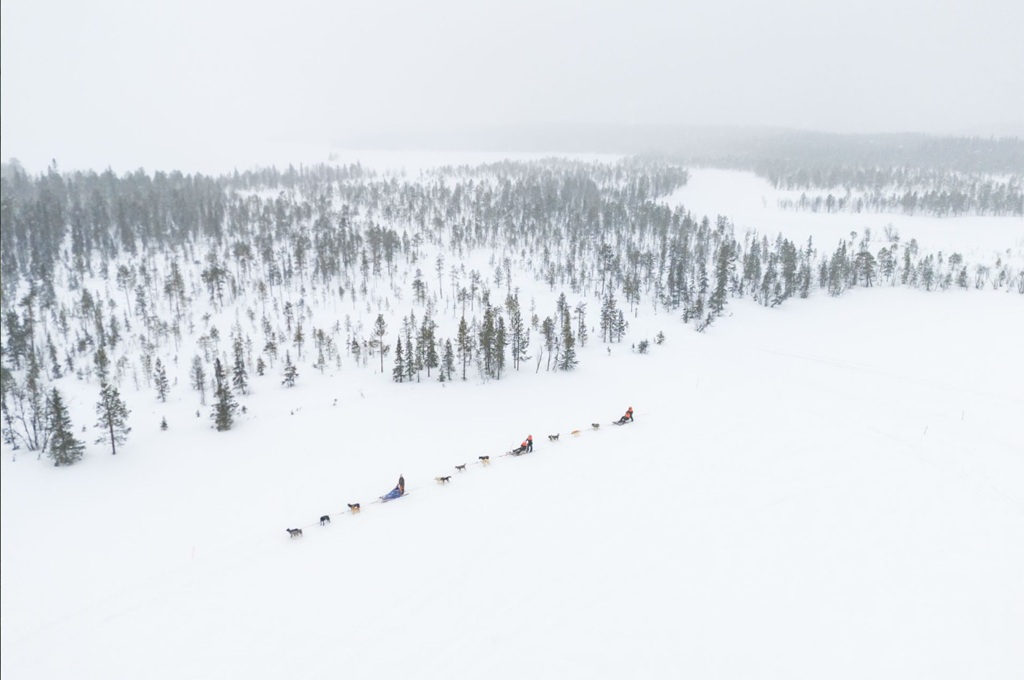 Husky tocht Lapland