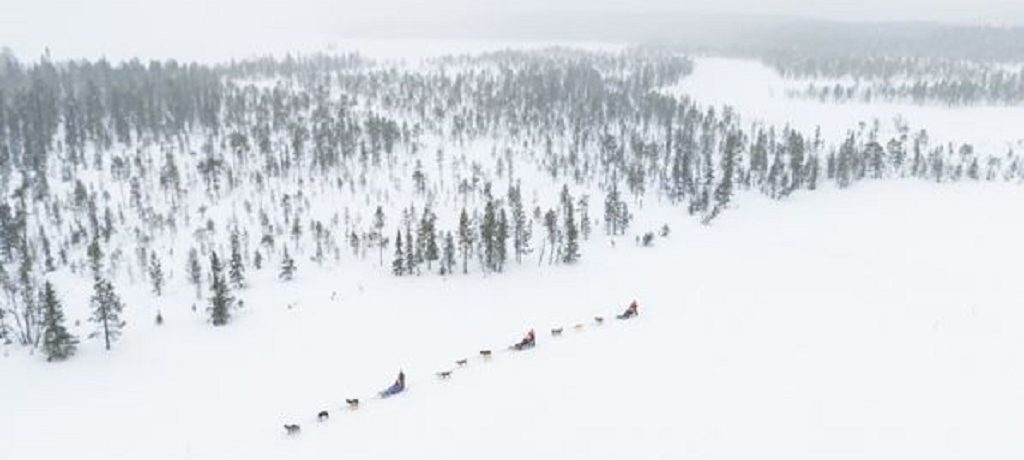 Huskysafari