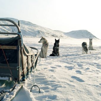 Finland, Meerdaagse husky safari