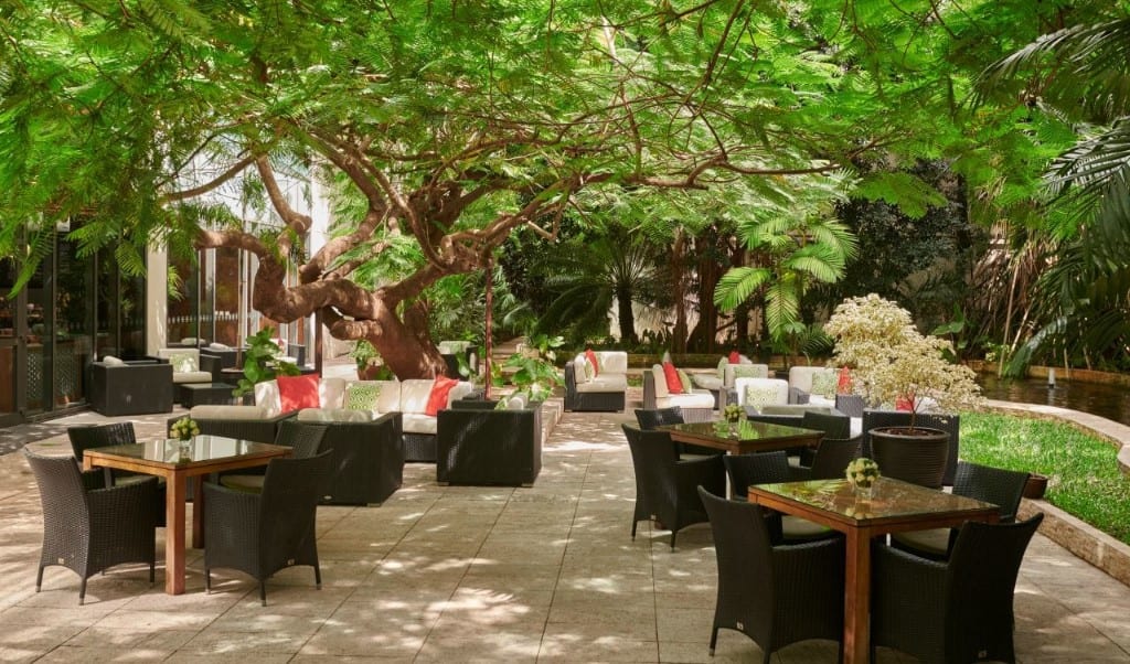 Flame Tree Lounge