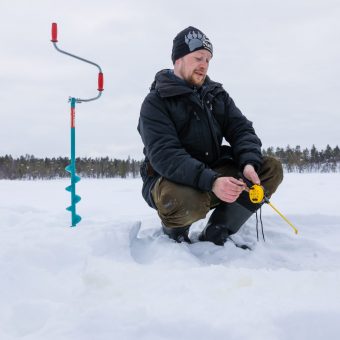 IJsvissen
