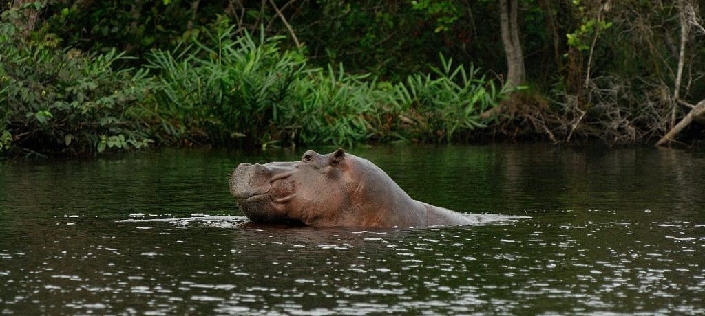 Iguela Lagune, Gabon