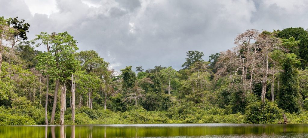 Iguela Lagune