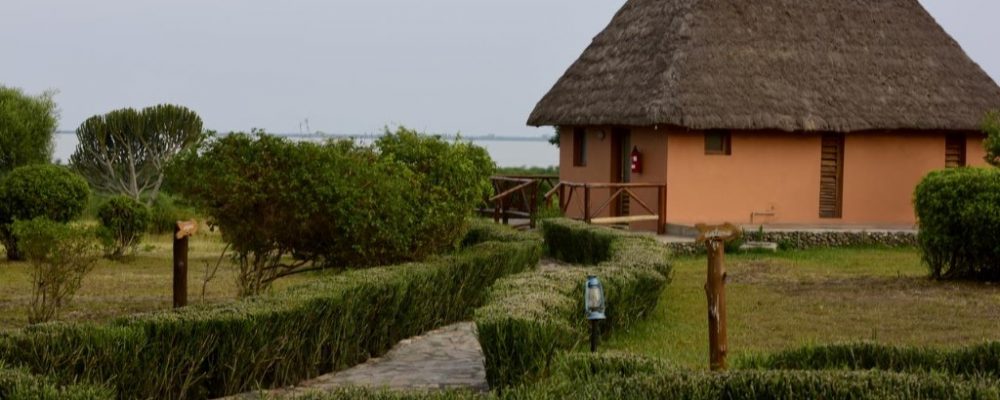 Ihamba Lakeside Safari