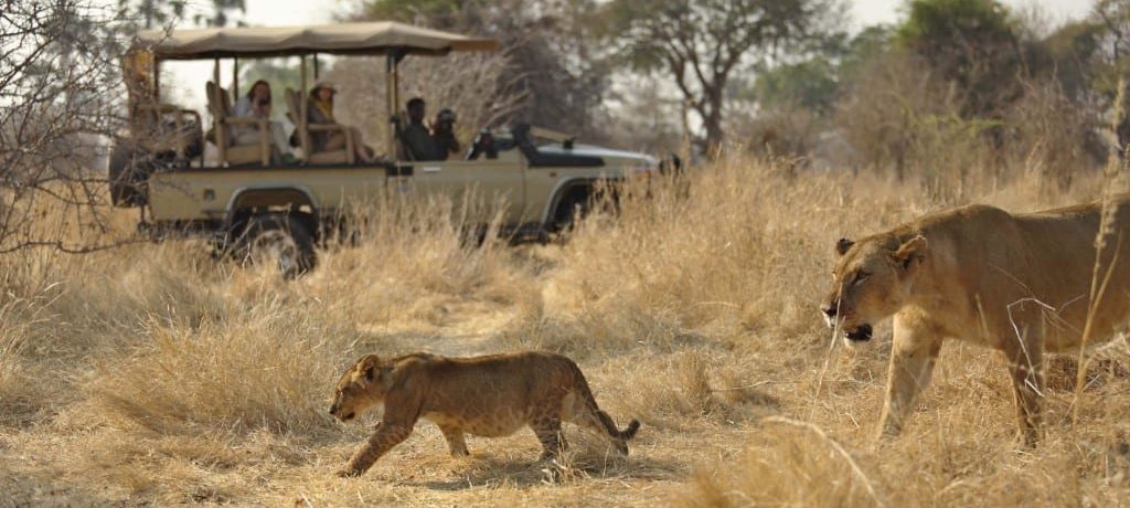 Ikuka Safari Camp, Ruaha National Park