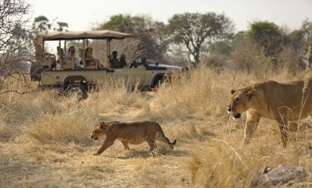 Ikuka Safari Camp, Ruaha National Park