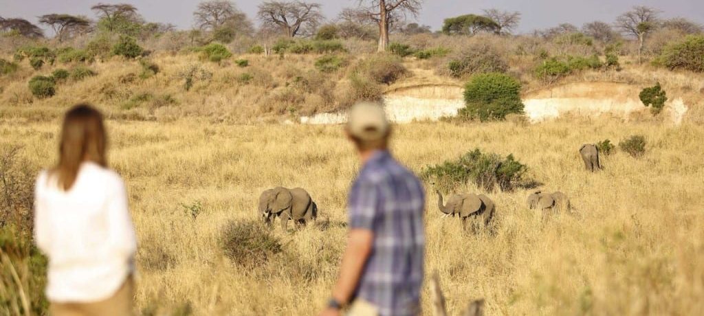 Ikuka Safari Camp