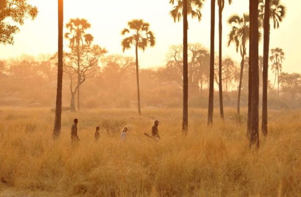 Ikuka Safari Camp