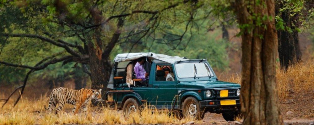 Nationale Parken in India