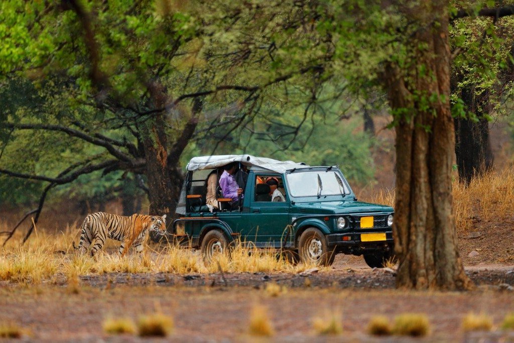 Nationale Parken in India