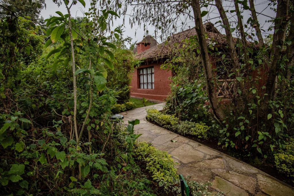 Ingagi Park View Lodge