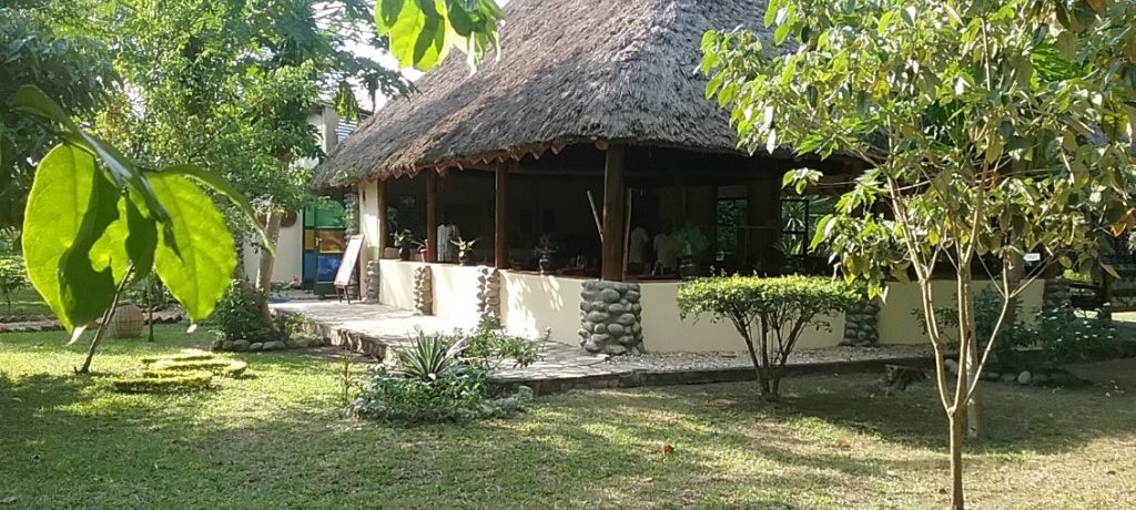 Ishasha Jungle Lodge