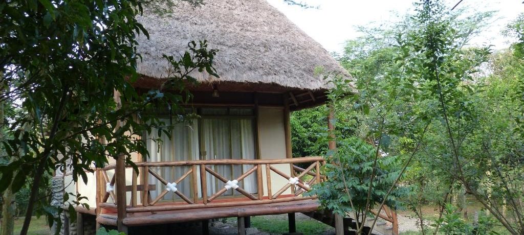 Ishasha Jungle Lodge