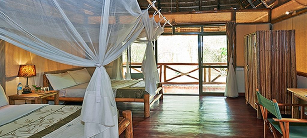 Ishasha Jungle Lodge