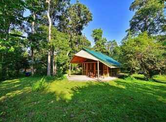 Safari tent, Ishasha Wilderness Camp