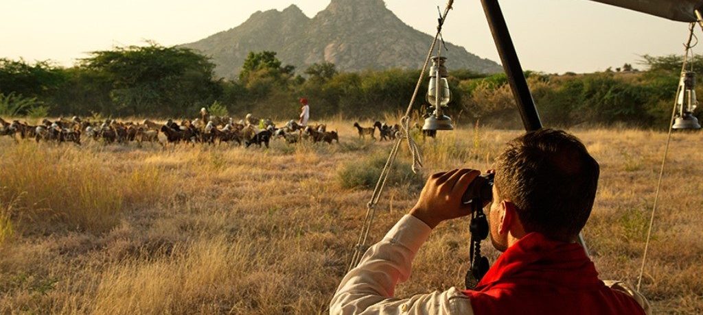 Jawai Leopard Camp