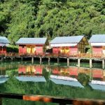 Giant Panda Hotel