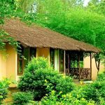Jims Jungle Retreat