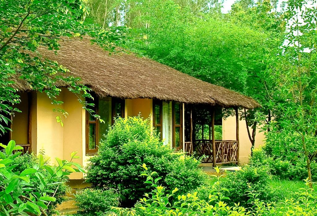 Jims Jungle Retreat