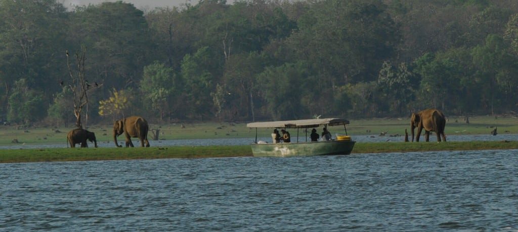 Kabini River Lodge Kabini River Lodge