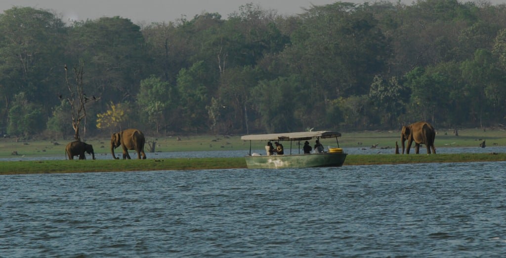 Kabini River Lodge