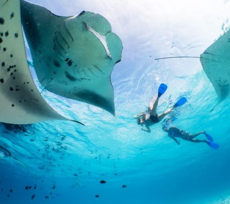 Baa Atoll manta snorkel avontuur