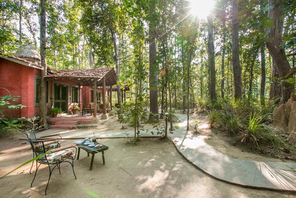 Kanha Jungle Lodge