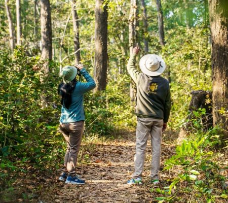 Kanha Jungle Lodge Junglewandeling